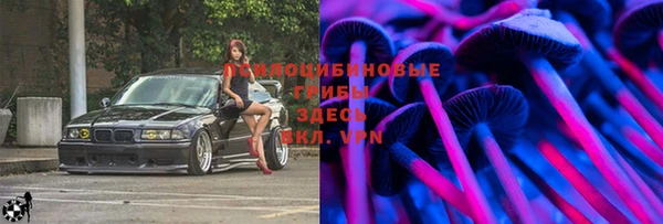 стафф Осташков