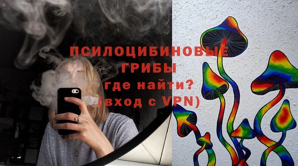 стафф Осташков