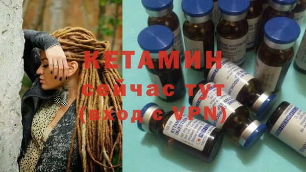 стафф Осташков