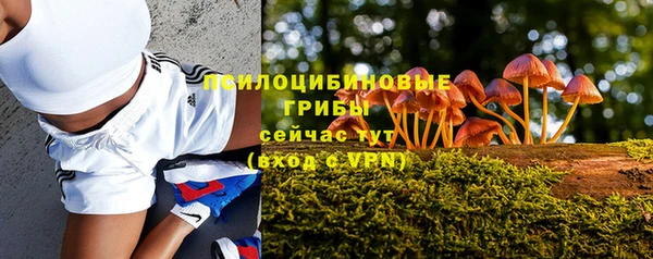 МДМА Осинники
