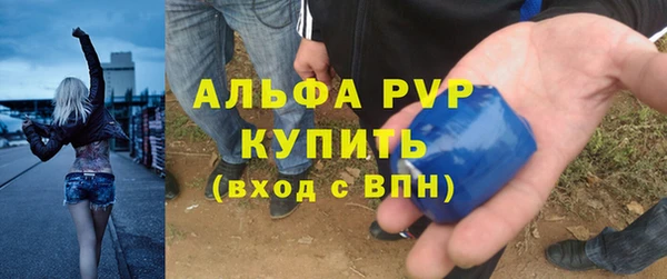 гашик Пересвет