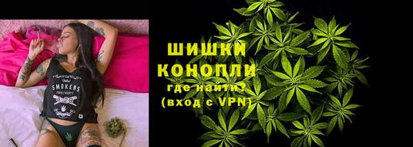 стафф Осташков