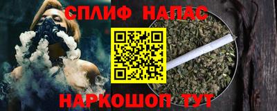 мдпв Гагарин