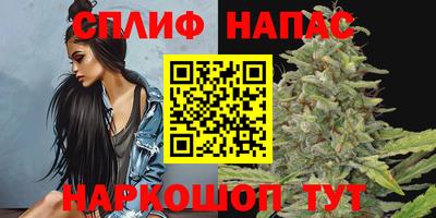 СК Жуковский