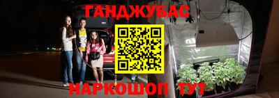 мдпв Гагарин