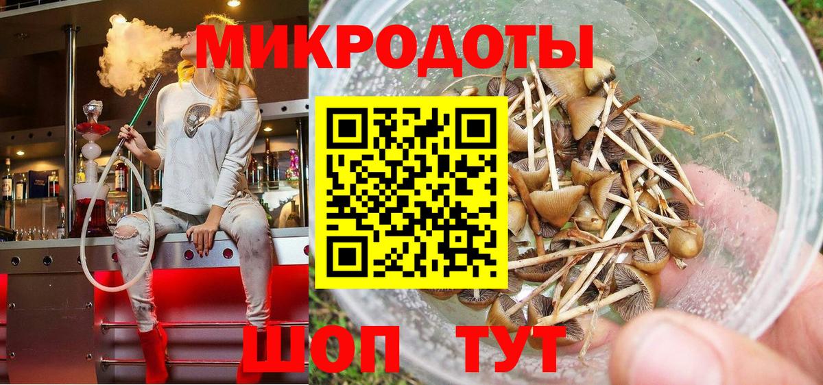 Галлюциногенные грибы Psilocybe  Котельники 