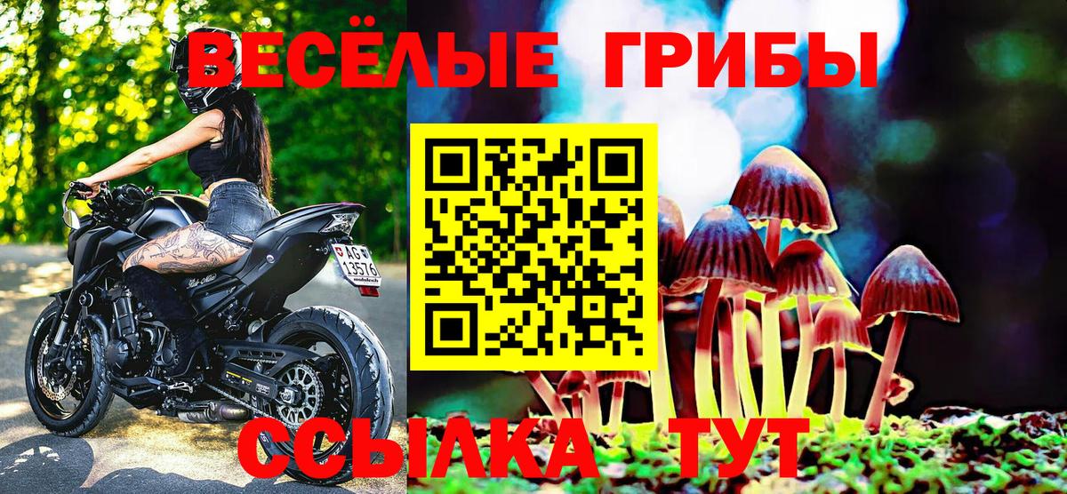 Галлюциногенные грибы Psilocybe Котельники